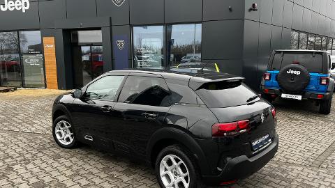 Citroën C4 Cactus 1.2 PureTech Shine (110KM) - 49 900  PLN, 2019 - Ostrów Wielkopolski - wyprzedaż | Autoria.pl