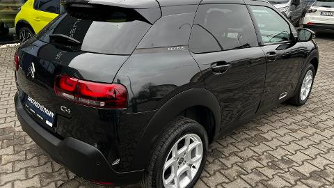 Citroën C4 Cactus 1.2 PureTech Shine (110KM) - 49 900  PLN, 2019 - Ostrów Wielkopolski - wyprzedaż | Autoria.pl